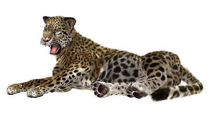 Image showing Big Cat Jaguar