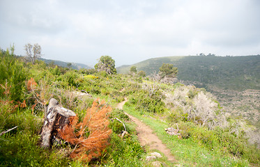 Image showing Spring season landscape