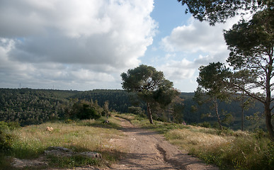 Image showing Spring season landscape