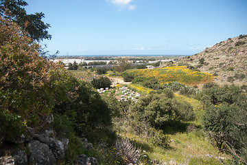 Image showing Spring season landscape