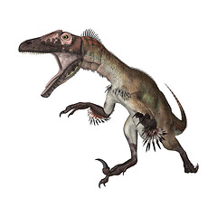 Image showing Dinosaur Utahraptor