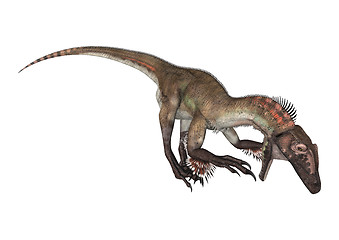 Image showing Dinosaur Utahraptor