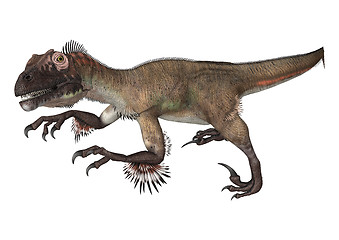 Image showing Dinosaur Utahraptor