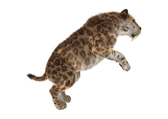 Image showing Big Cat Smilodon