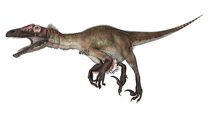 Image showing Dinosaur Utahraptor