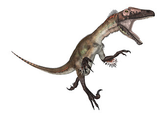 Image showing Dinosaur Utahraptor