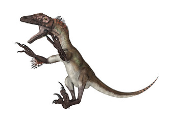 Image showing Dinosaur Utahraptor