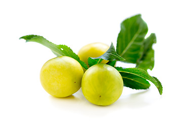 Image showing Small yellow plums.