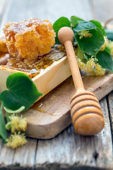 Image showing Flowers of lime and honey in the comb.