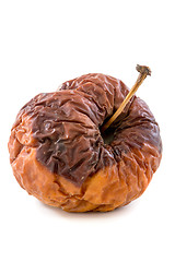 Image showing Wrinkled rotten apple.