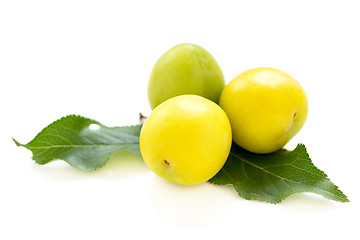 Image showing Three small yellow plums.