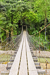 Image showing Rural Hanging Bridge