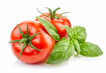 Image showing fresh tomatoes and basil 