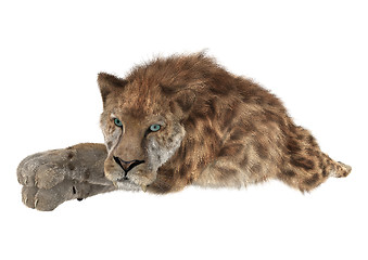 Image showing Big Cat Smilodon