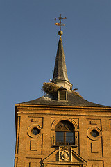 Image showing Stork nest in Alcala de Henares