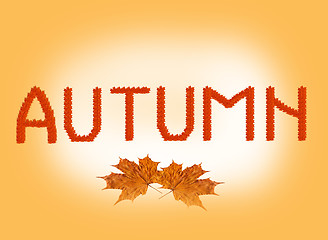 Image showing inscription Autumn on the autumn leaves