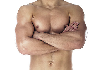 Image showing Muscular body