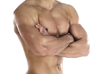 Image showing Muscular body