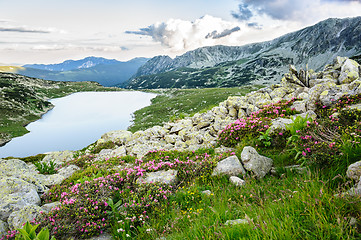 Image showing Mountain lake Bucura, in Retezat, Romania, Europe