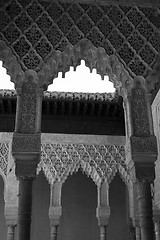 Image showing Lion courtyard columns in black and white