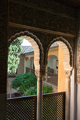 Image showing Window to the gardens