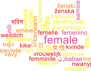 Image showing Female multilanguage wordcloud background concept