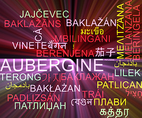 Image showing Aubergine multilanguage wordcloud background concept glowing