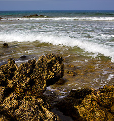 Image showing in lanzarote  isle  sky cloud beach   water 