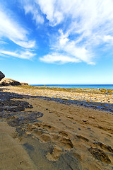 Image showing white coast lanzarote  in spain   beach    and summer 