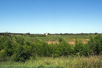 Image showing the field and the house