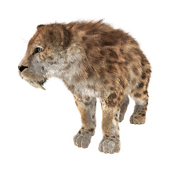 Image showing Big Cat Smilodon