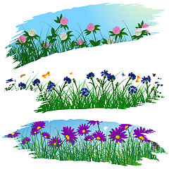 Image showing Set of brushstroke flower frames