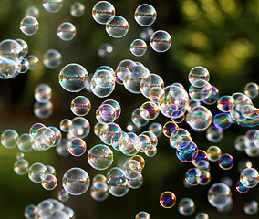 Image showing Soap bubbles