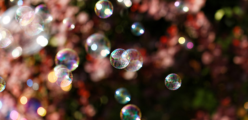 Image showing Soap bubbles