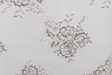 Image showing Special lace