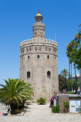 Image showing Gold tower in Seville