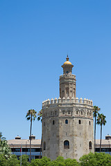 Image showing Gold tower within palmtrees