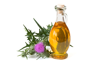 Image showing Milk thistle oil