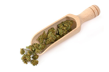 Image showing Medical cannabis