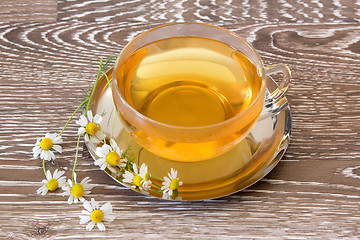 Image showing Hot chamomile tea