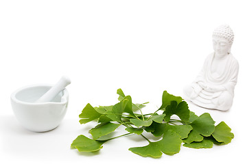 Image showing Fresh ginkgo with buddha