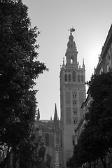 Image showing Giralda in black and white