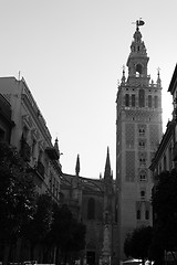 Image showing La Giralda in Black and white