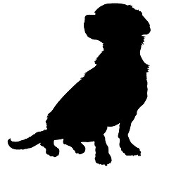 Image showing Mixed Breed Silhouette