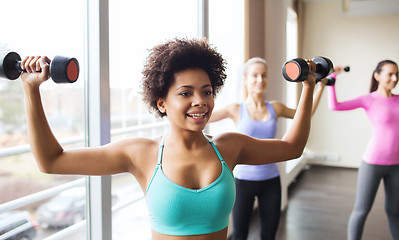 Image showing group of happy women with dumbbells in gym