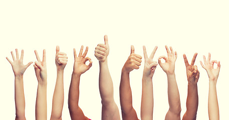 Image showing human hands showing thumbs up, ok and peace signs