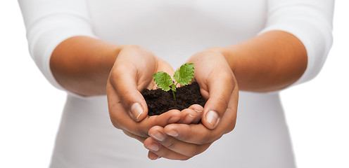 Image showing woman hands holding plant in soil