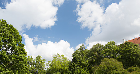 Image showing trees and house roof over blue sky with clouds