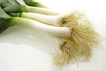 Image showing Roots of leeks