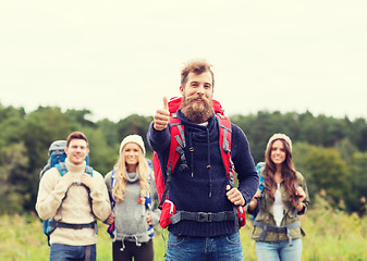 Image showing group of smiling friends with backpacks hiking